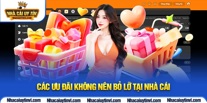 Các ưu đãi không nên bỏ lỡ tại nhà cái